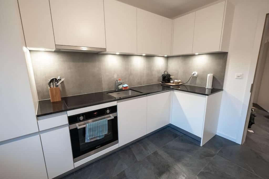 Appartement Spacieux Au Centre De La Gruyere ブロ エクステリア 写真