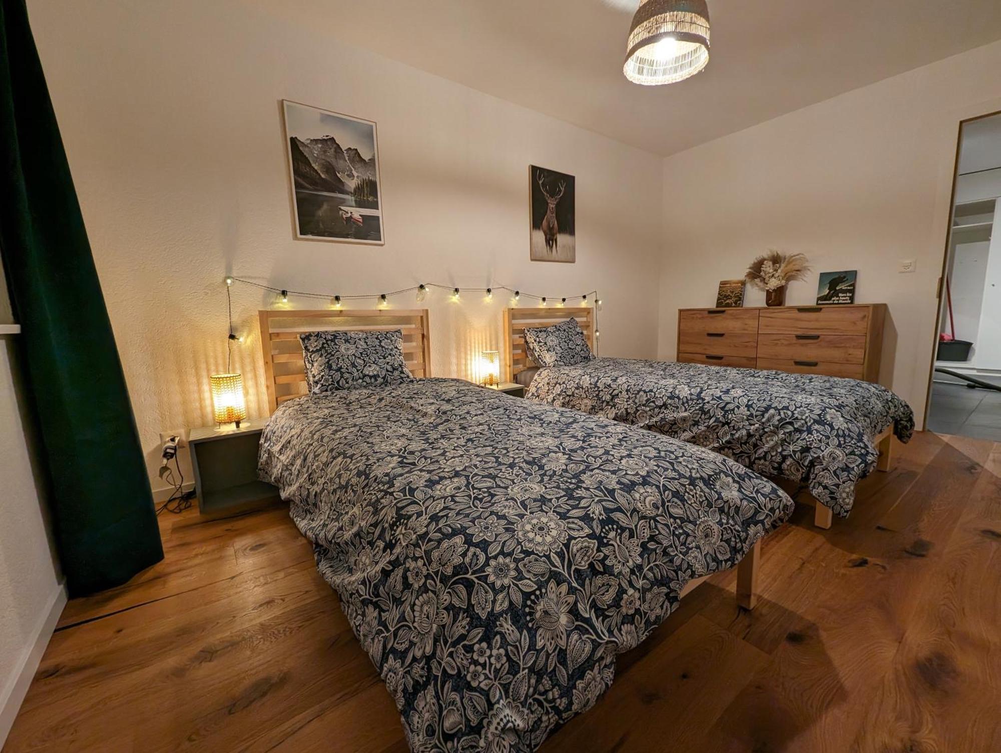 Appartement Spacieux Au Centre De La Gruyere ブロ エクステリア 写真